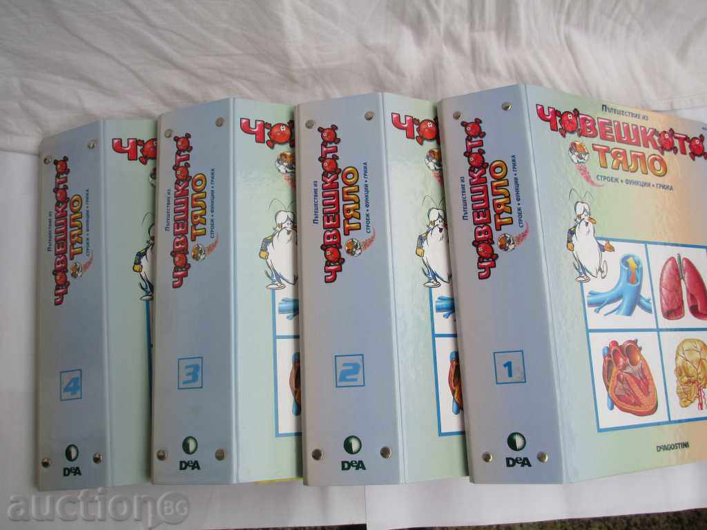 HUMAN BODY - 5 HUMAN BODY - 5