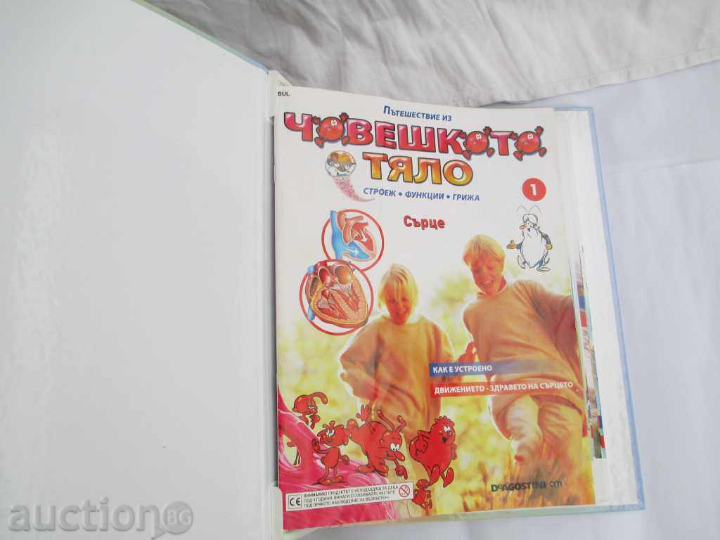 HUMAN BODY - 6 HUMAN BODY - 6