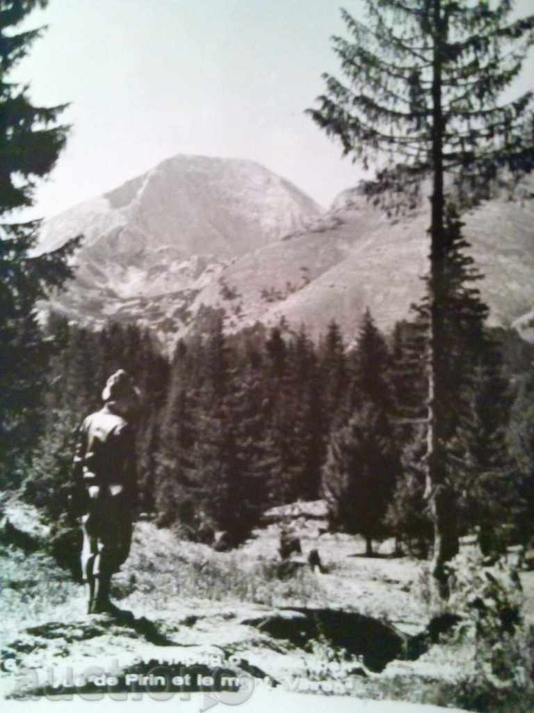 PIRIN-1960 with price 2.00 BGN | € 1.02 PIRIN-1960 with price 2.00 BGN | € 1.02