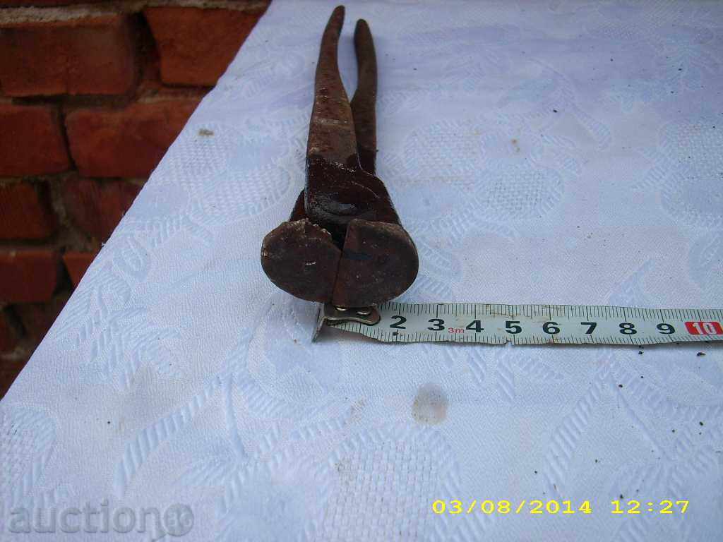 Livrarea căpușă vechi fierar