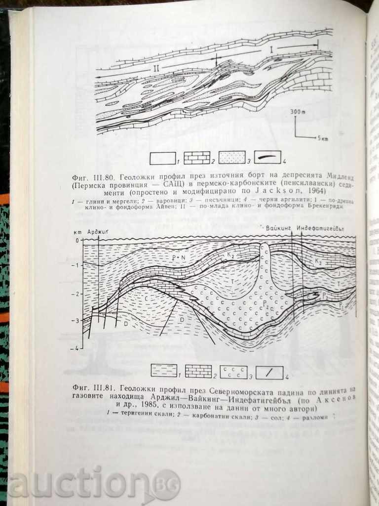 Auction  Areas with Deficient Sedimentation - Peter Bokov 1989