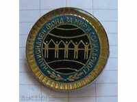 Badge - National Fund for Peace and Solidarity