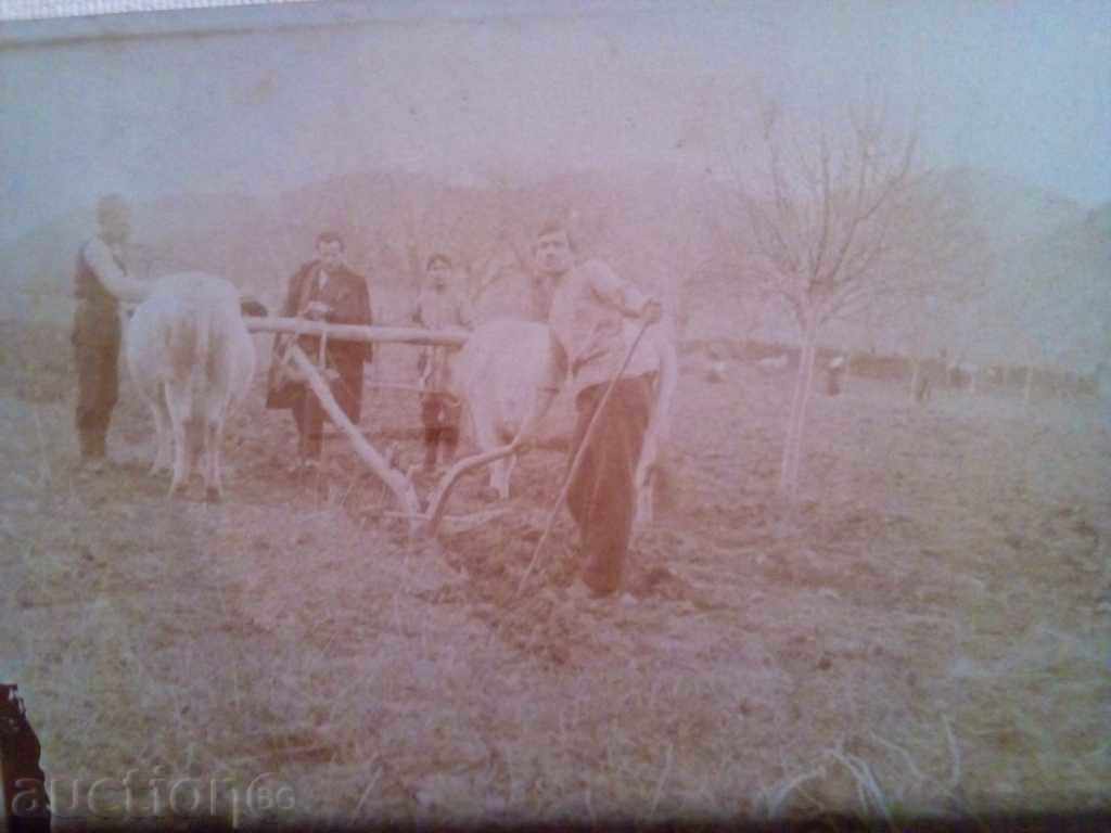 1920 - "ON LEVEL" - TROYAN MONASTERY-TRUTH with price 9.00 BGN | € 4.60 1920 - "ON LEVEL" - TROYAN MONASTERY-TRUTH with price 9.00 BGN | € 4.60