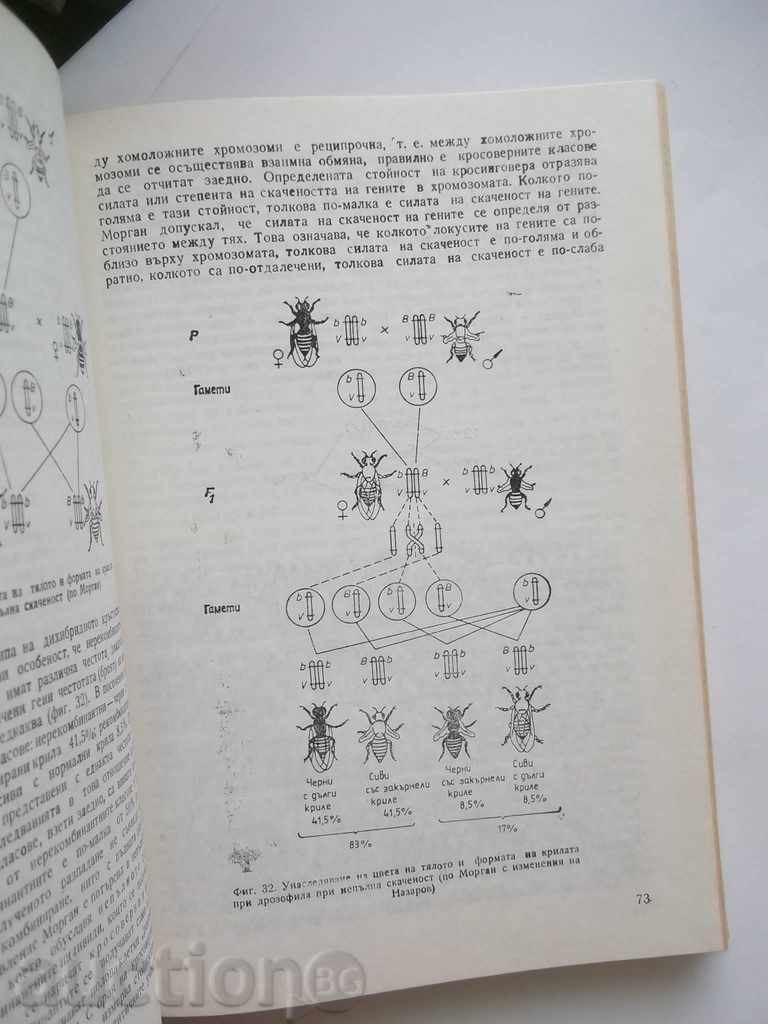 Auction Genetics of Farm Animals - Y. Vassileva 1987 Auction Genetics of Farm Animals - Y. Vassileva 1987