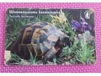 2001 carte de asteptare Mobica - țestoasă lui Hermann