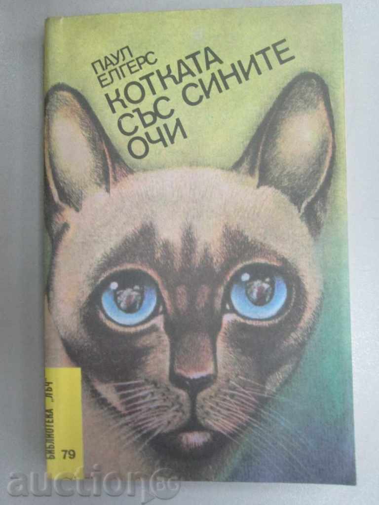 A. Η ELGERS - γάτες με μπλε μάτια