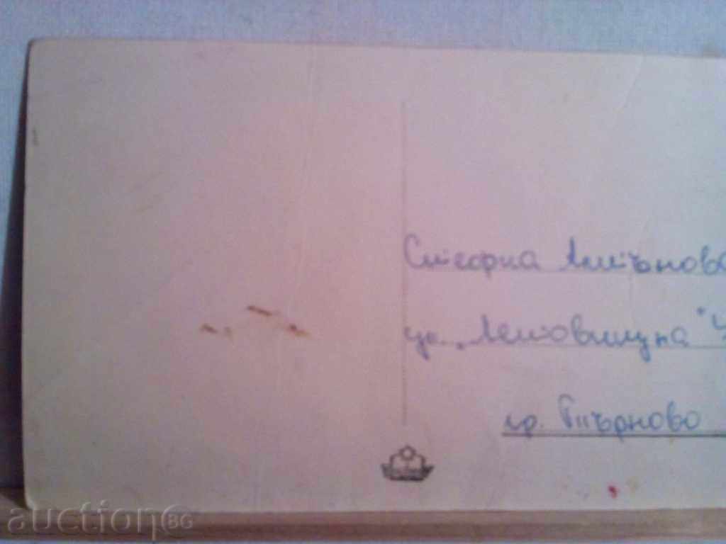 STALIN INSIDE THE SEA GARDEN with price 2.00 BGN | € 1.02 STALIN INSIDE THE SEA GARDEN with price 2.00 BGN | € 1.02