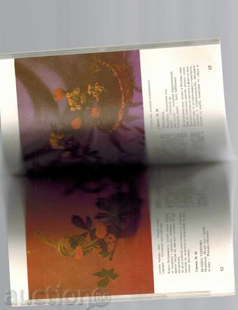 Auction THE ART OF ICEBANA - RIMA MIRSKA Auction THE ART OF ICEBANA - RIMA MIRSKA