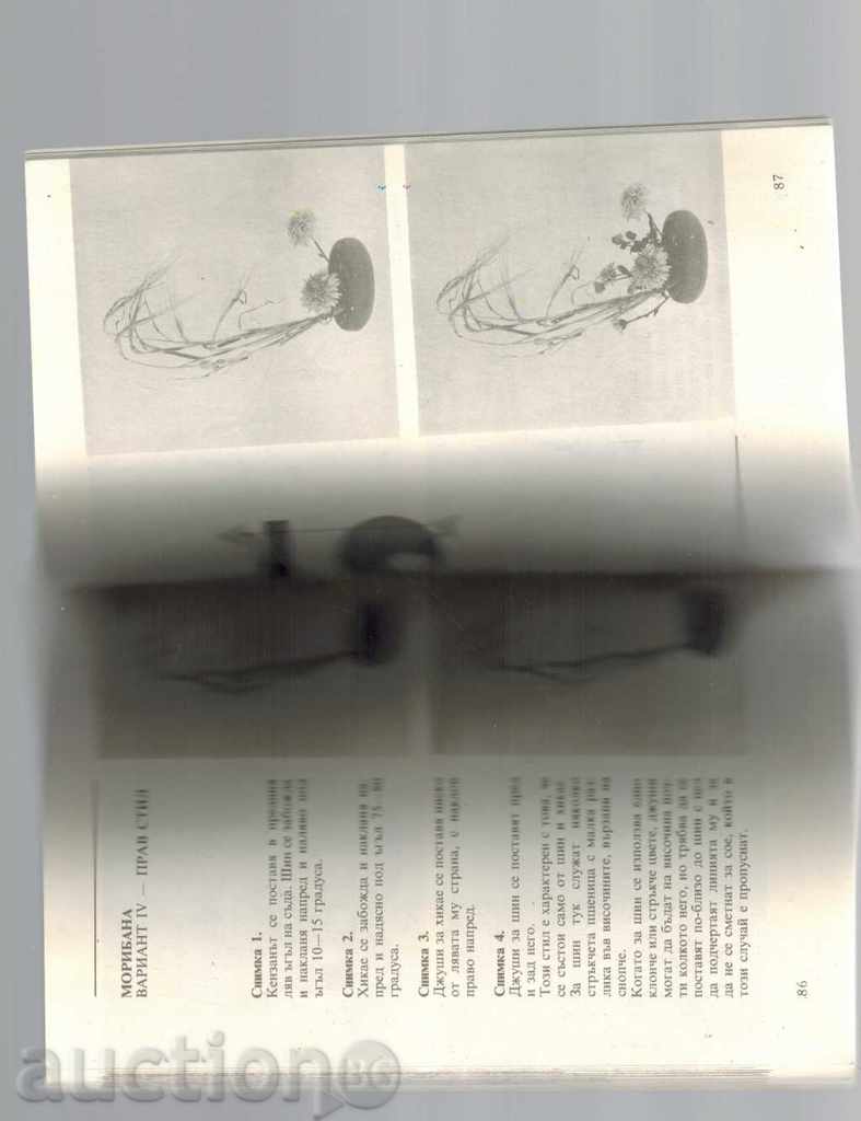 Delivery of THE ART OF ICEBANA - RIMA MIRSKA Delivery of THE ART OF ICEBANA - RIMA MIRSKA