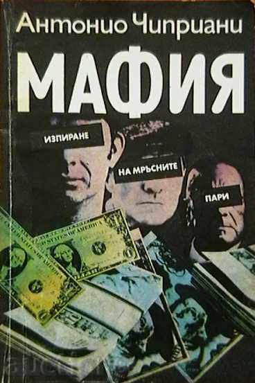 Mafia - Dirty money laundering