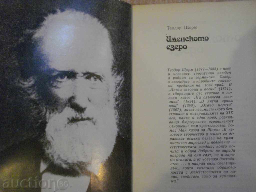 Book "The Imen Lake - Theodore Storm" - 408 pages with price 5.00 BGN | € 2.56