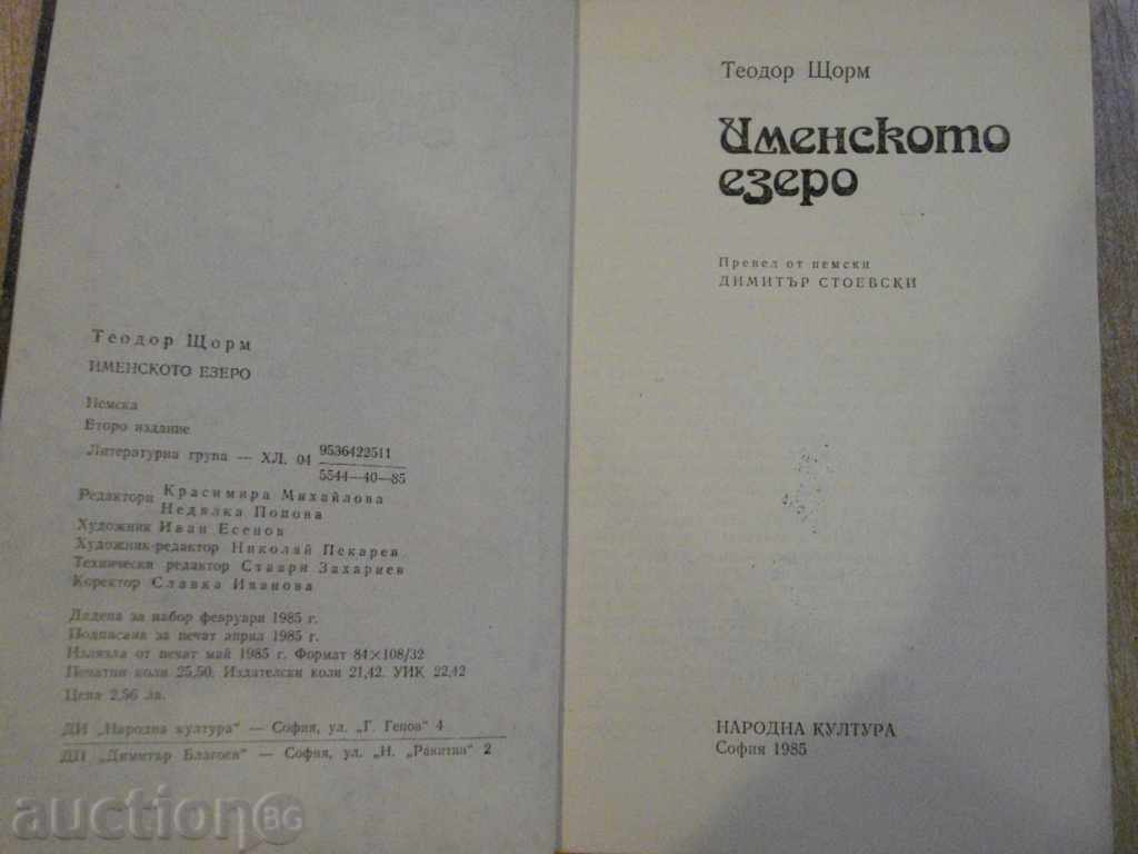 Auction  Book "The Imen Lake - Theodore Storm" - 408 pages