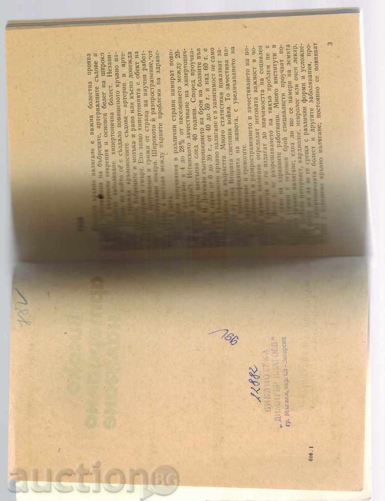 Auction HIGH ARTERIAL PRESSURE - GEORGI STEFANOV Auction HIGH ARTERIAL PRESSURE - GEORGI STEFANOV