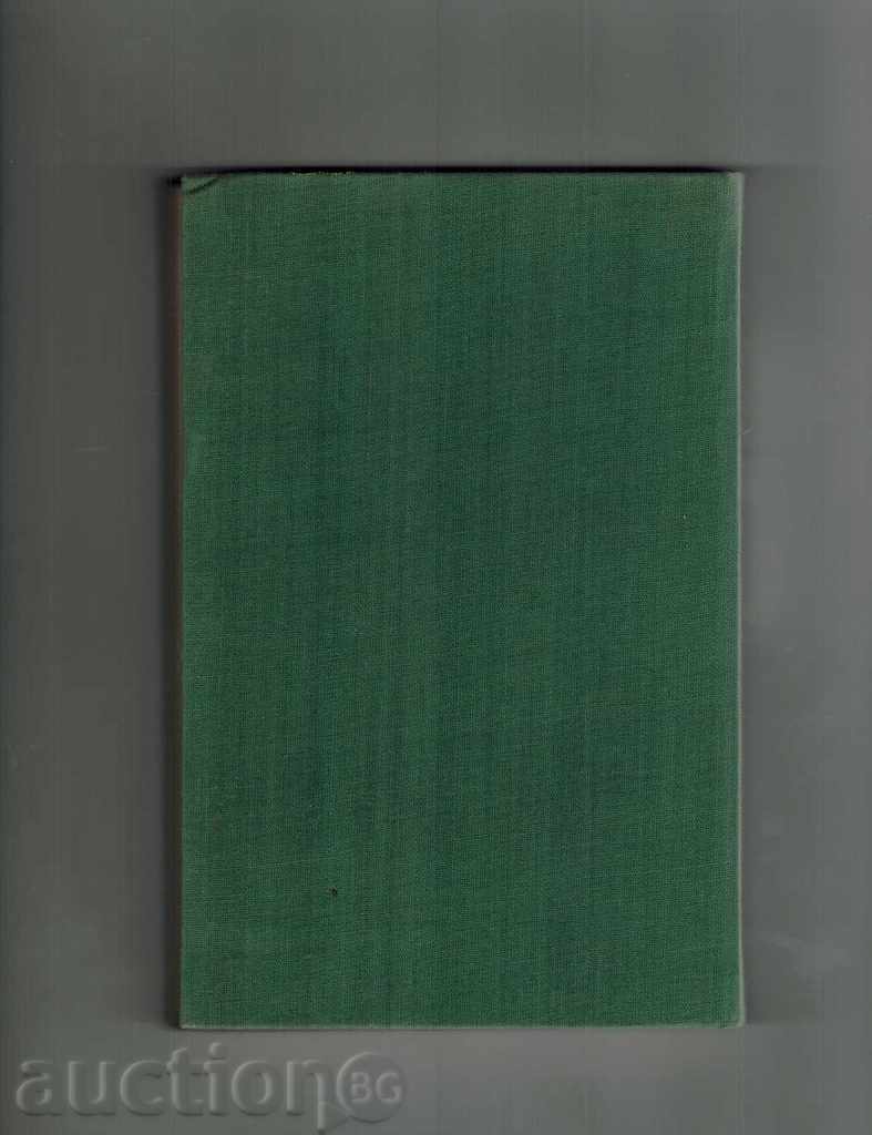 Παράδοση Vasco da Gama - Κ Cooney