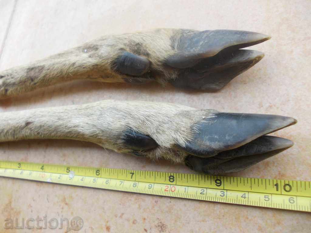 Handle material with price 18.00 BGN | € 9.20