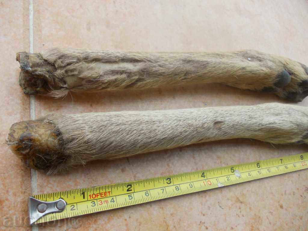 Auction  Handle material