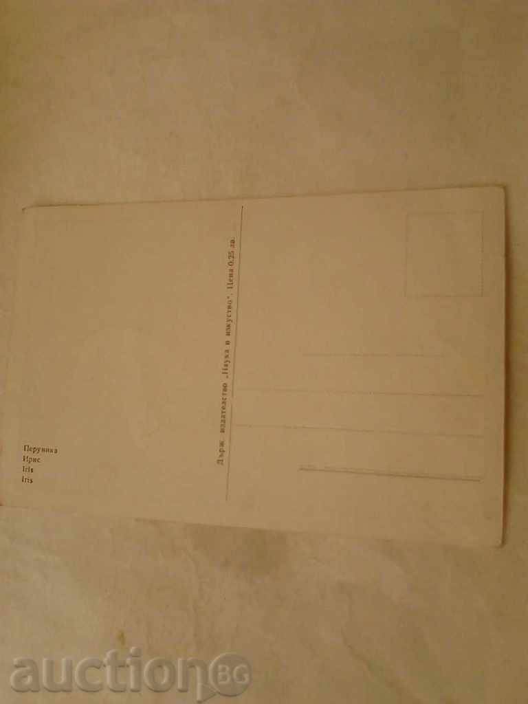Postcard Perunica with price 0.35 BGN | € 0.18