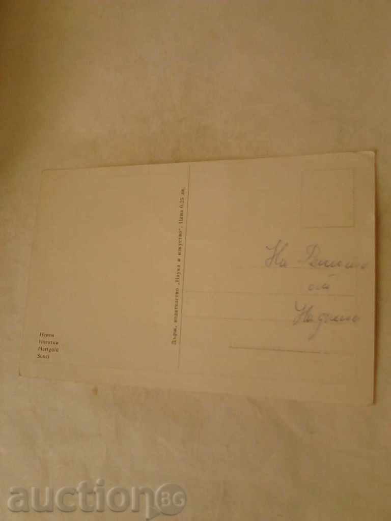 Postcard Marigold with price 0.35 BGN | € 0.18 Postcard Marigold with price 0.35 BGN | € 0.18