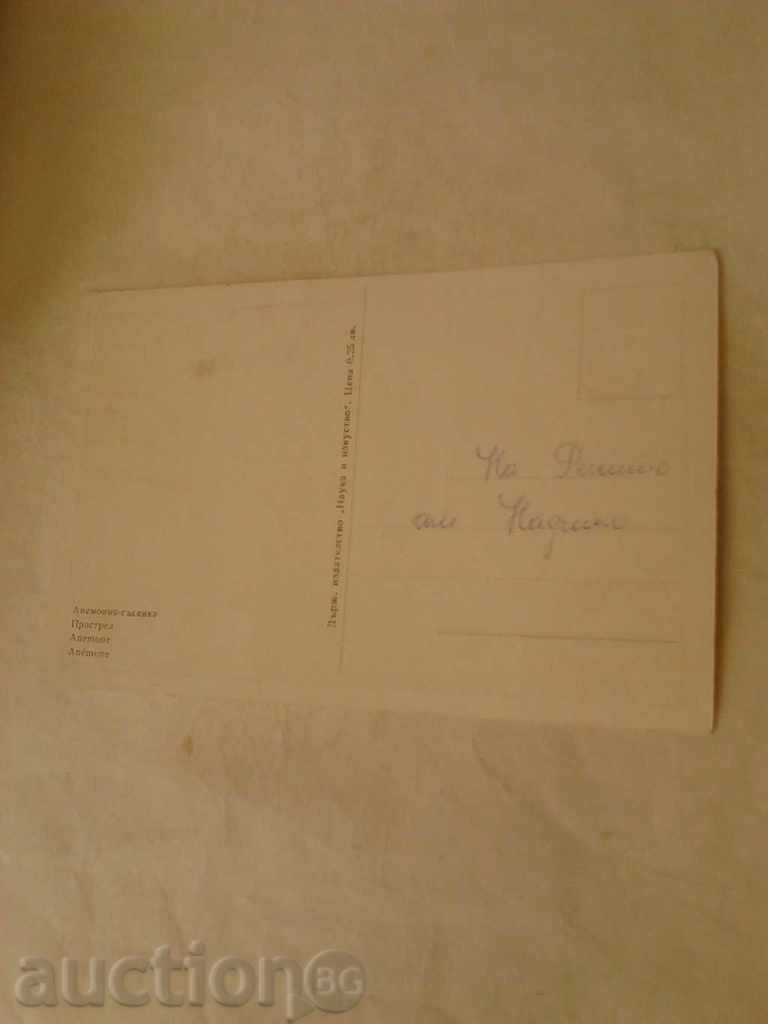 Postcard Anemoniya-shenka with price 0.35 BGN | € 0.18 Postcard Anemoniya-shenka with price 0.35 BGN | € 0.18