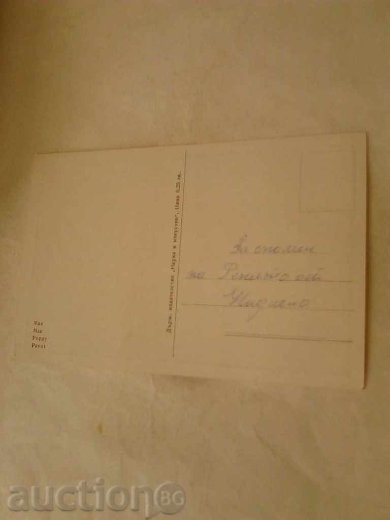 Postcard Mac with price 0.35 BGN | € 0.18 Postcard Mac with price 0.35 BGN | € 0.18