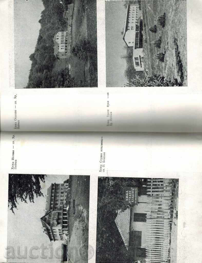 Delivery of THE BEACHES IN BULGARIA - DRIVER Delivery of THE BEACHES IN BULGARIA - DRIVER