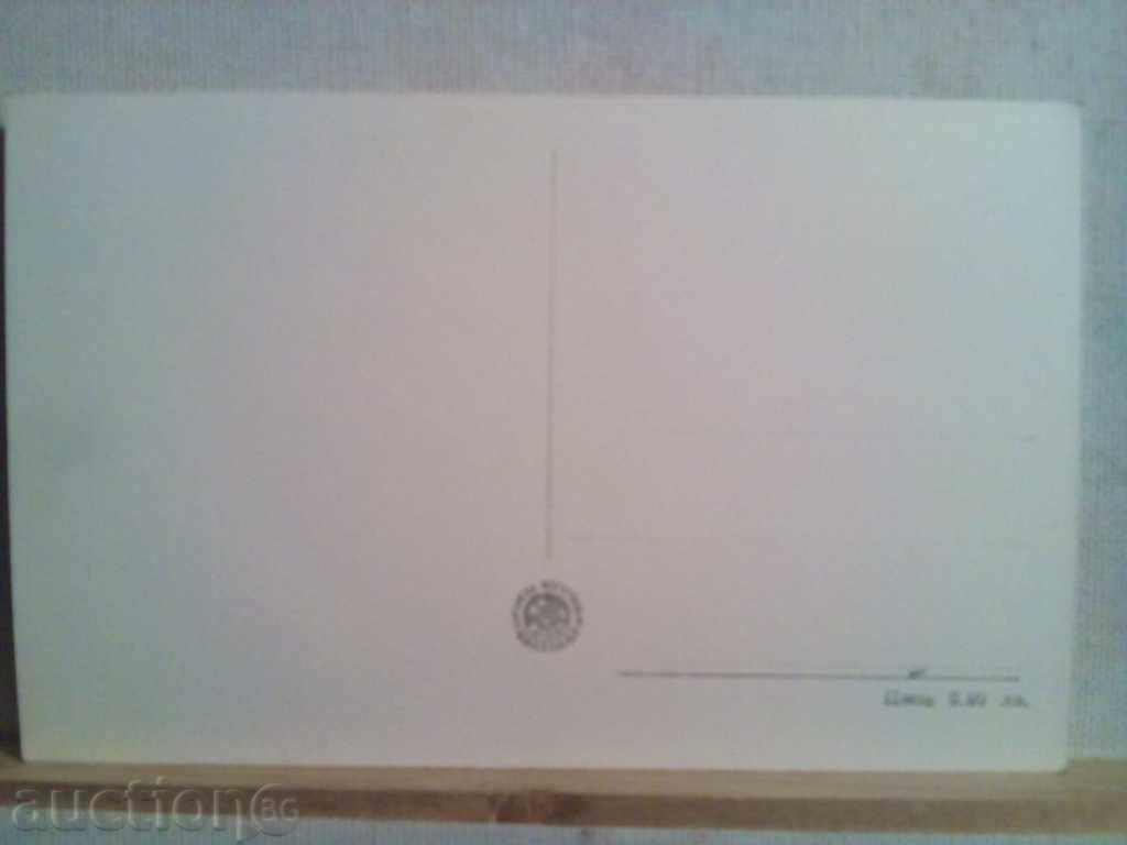 RUSE-WATERPROOF with price 3.00 BGN | € 1.53