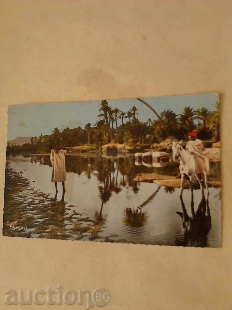 Καρτ ποστάλ της Αφρικής Riviere du Sud 1964