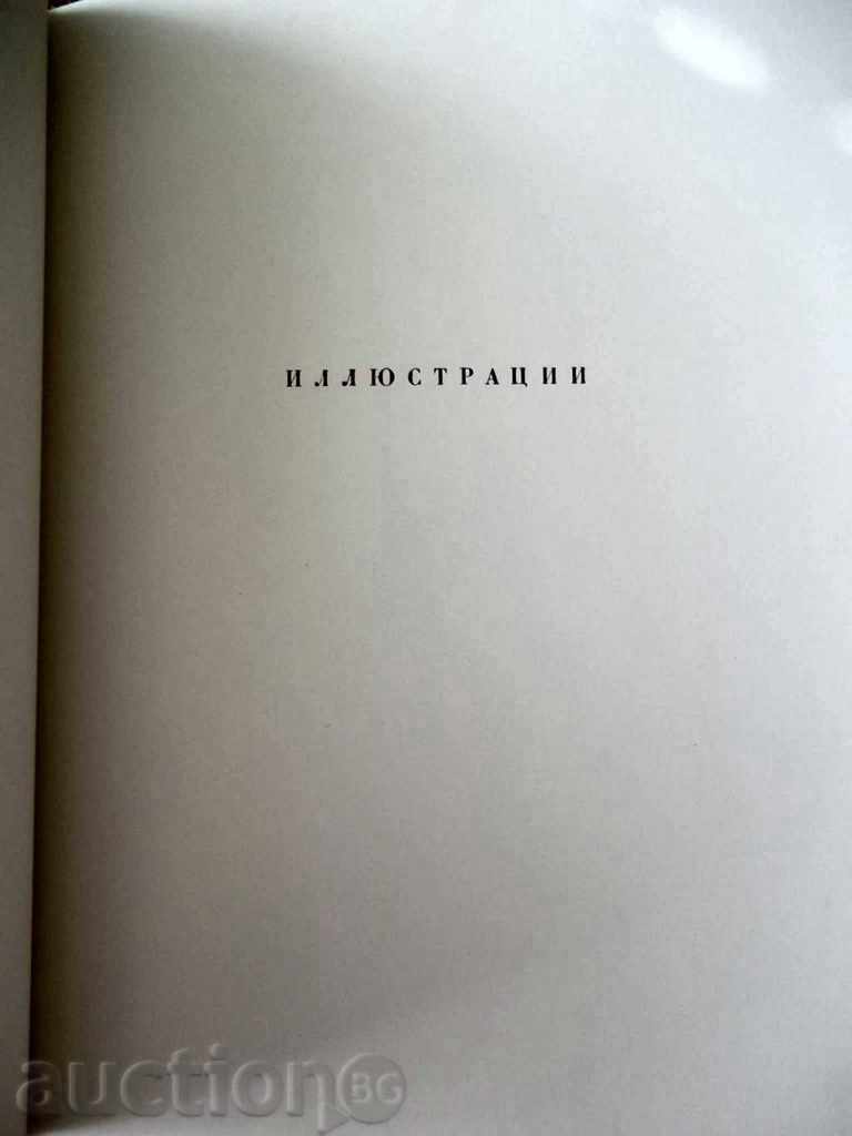 Delivery of Alexei Alekseevich Shokovenko Delivery of Alexei Alekseevich Shokovenko