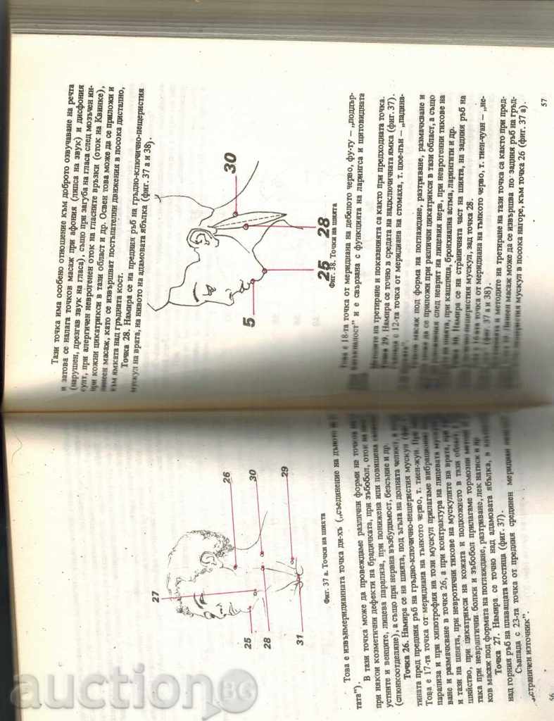 Delivery of COSMETIC TOCHKOV MASSAGE - G. GUTORANOV