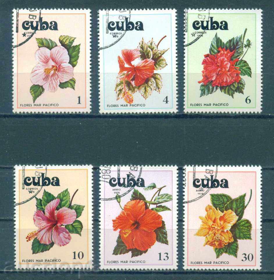 31K433 / CUBA - Flora - FLORI