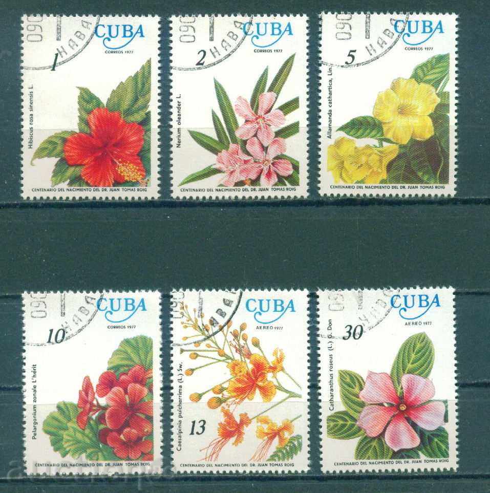 31K435 / CUBA - Flora - FLORI