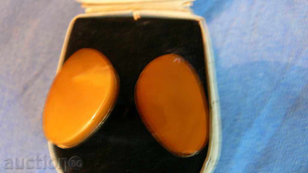 Δημοπρασία AMBER μανίκι Δημοπρασία AMBER μανίκι