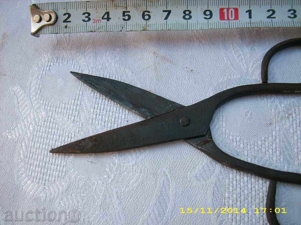 Delivery of STAR SMALL HORSE BABY