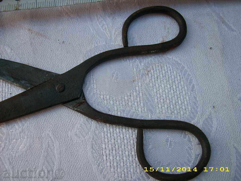 STAR SMALL HORSE BABY - 5