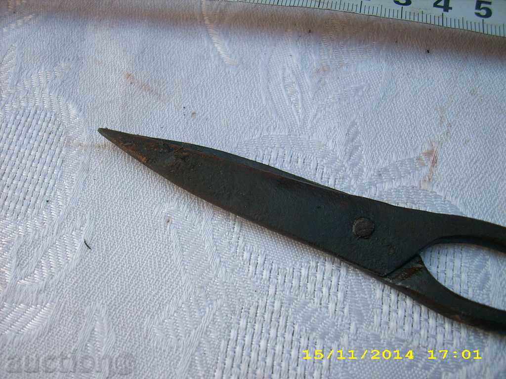 STAR SMALL HORSE BABY - 7