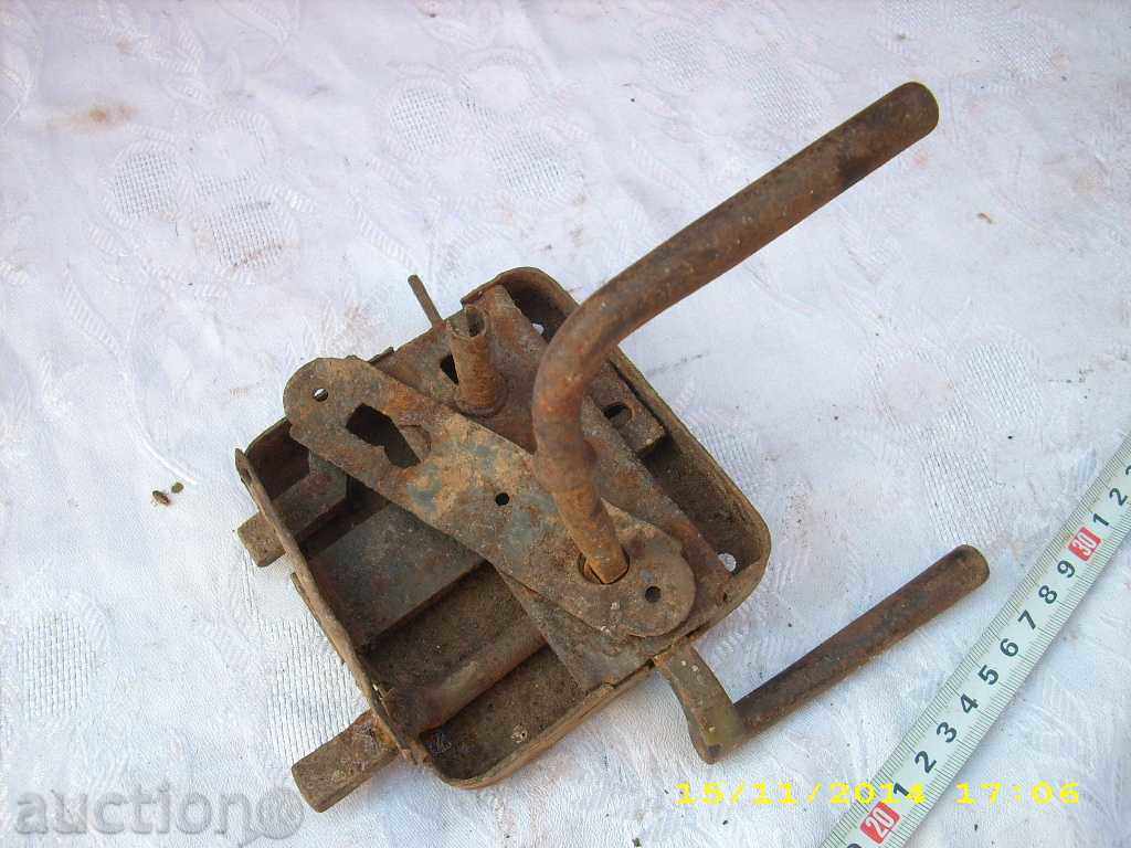 Delivery of STAR HORSES BRAVA