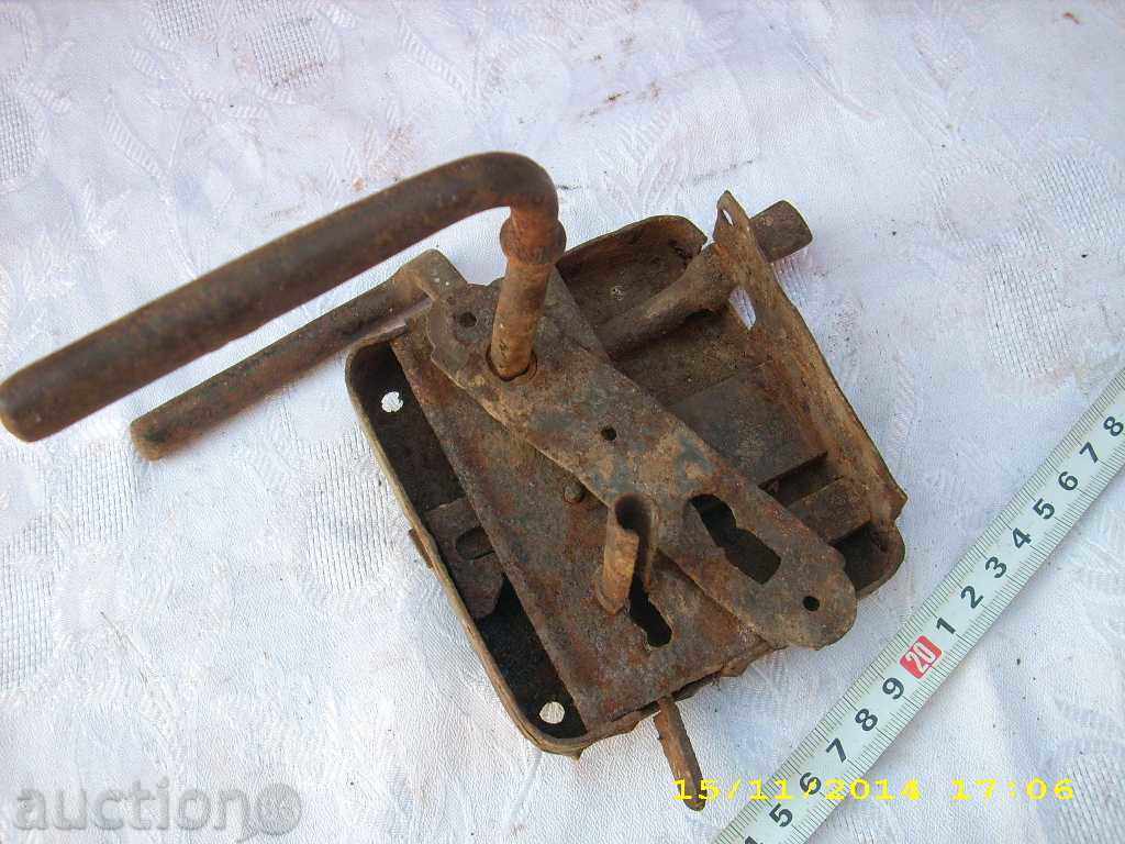 STAR HORSES BRAVA - 5