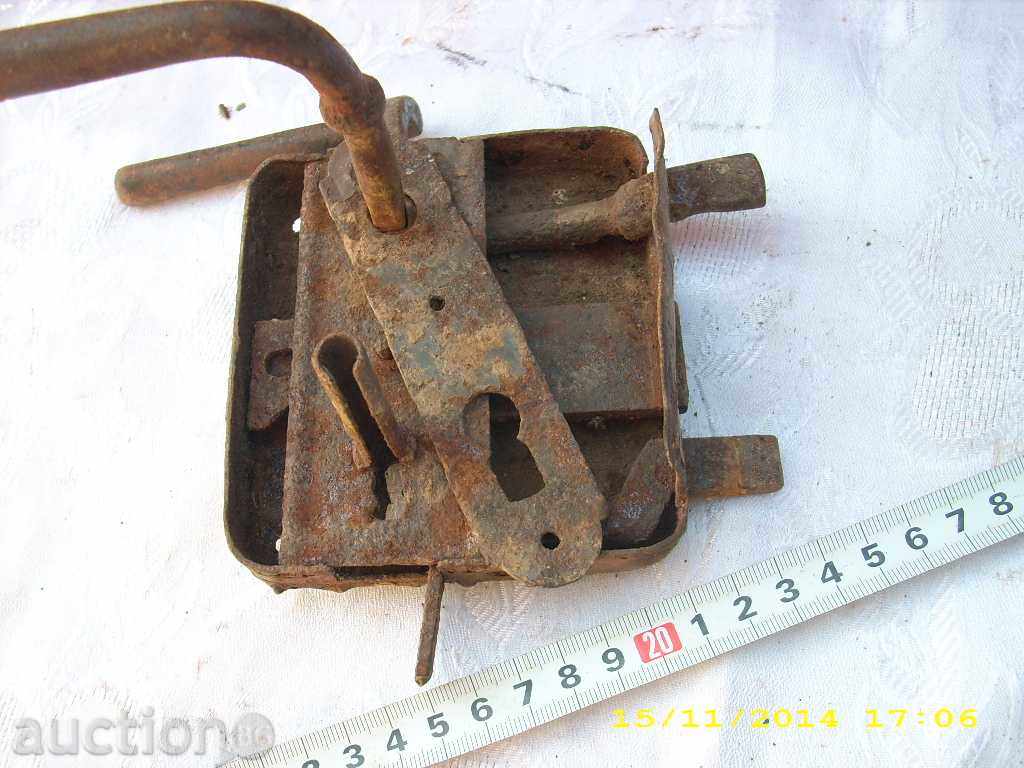 STAR HORSES BRAVA - 6