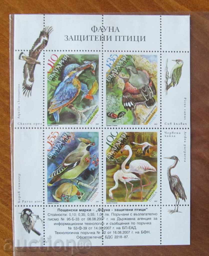 Postal block FAUNA PROTECTED BIRDS - 2007