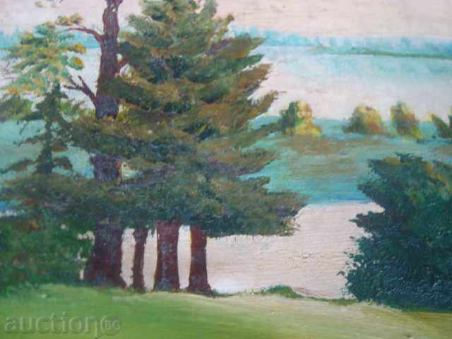 Old oil painting, without frame, on canvas 550x400mm with price 109.95 BGN | € 56.22 Old oil painting, without frame, on canvas 550x400mm with price 109.95 BGN | € 56.22