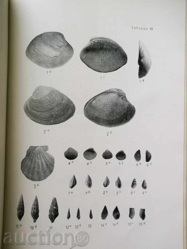 Сборник в чест на академик Йовчо Смилов Йовчев - 5 Сборник в чест на академик Йовчо Смилов Йовчев - 5