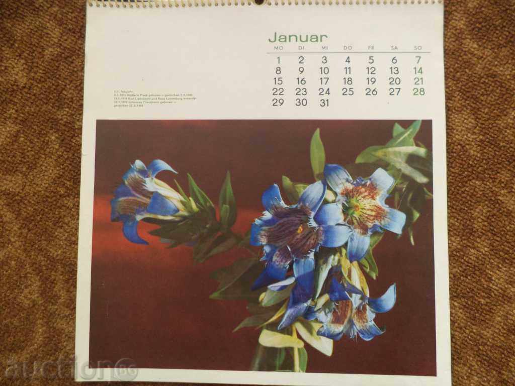 Retro calendar 1973 -Blumenkalender with price 10.00 BGN | € 5.11