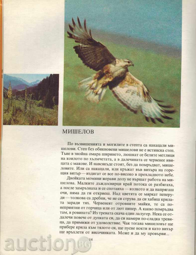 Auction  CHILDREN OF THE ART - NIKOLAY SLADKOV