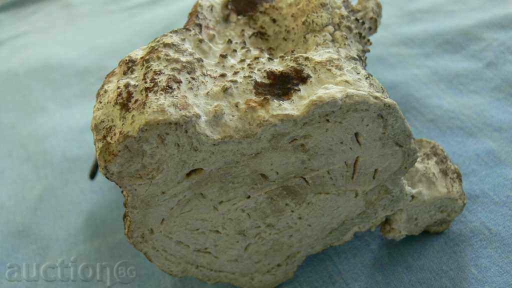 Delivery of Eagle's Image Delivery of Eagle's Image