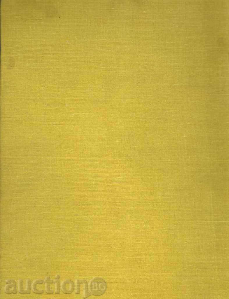 Auction DEVELOPMENT OF HUMAN SKAR WOMEN / IN RUSSIAN / Auction DEVELOPMENT OF HUMAN SKAR WOMEN / IN RUSSIAN /