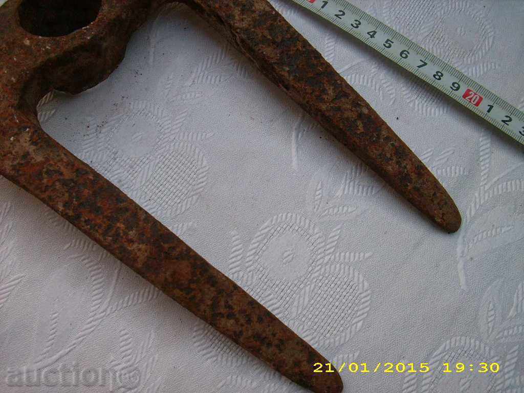 Delivery of WOVEN BEARING MOSES Delivery of WOVEN BEARING MOSES