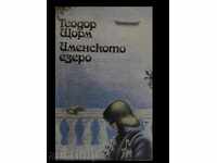 PROMOȚIE! - THEODOR STORM – LACUL IMMENSEE