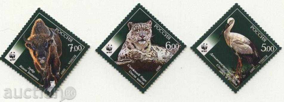 Pure WWF Fauna 2007 brands from Russia. with price 2.50 BGN | € 1.28
