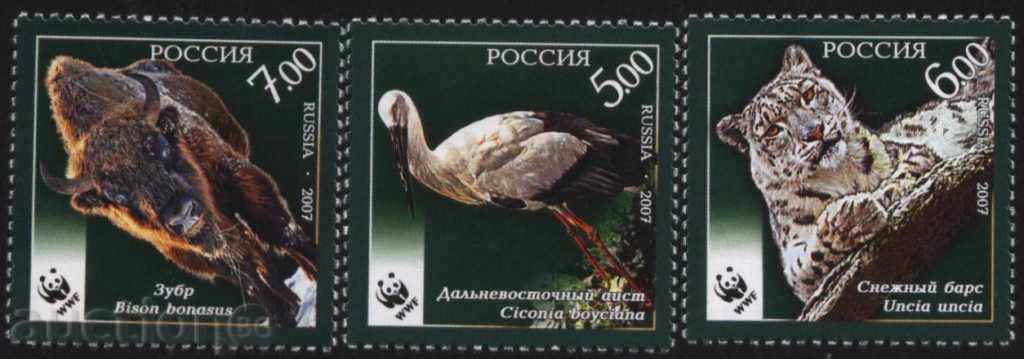 Чисти марки WWF  Фауна Щъркел Зубър Барс 2007 от Русия.
