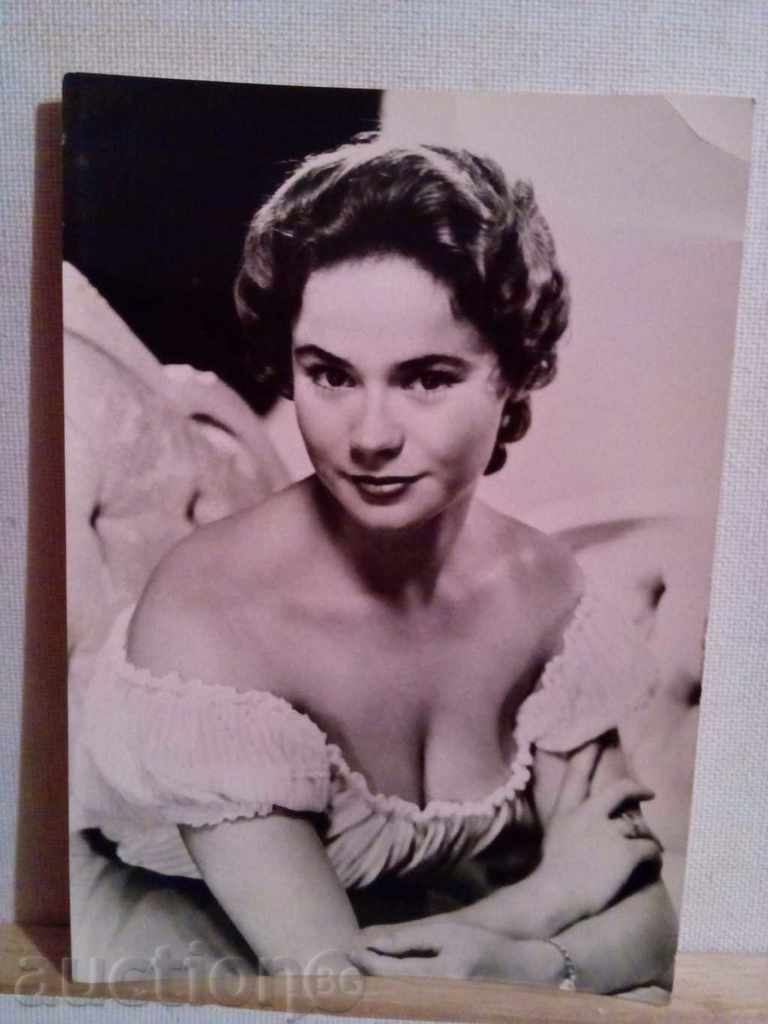 HEDER SIRS with price 2.00 BGN | € 1.02 HEDER SIRS with price 2.00 BGN | € 1.02